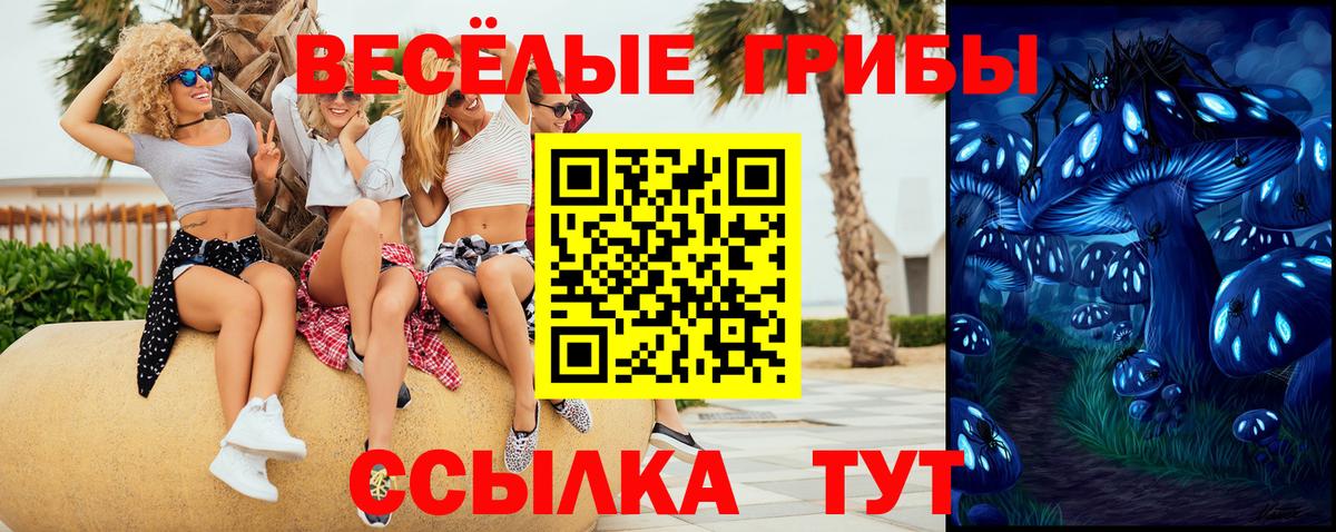 Галлюциногенные грибы GOLDEN TEACHER  Вход с VPN  Гурьевск 